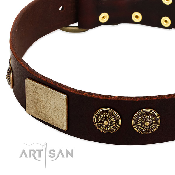 Corrosion resistant traditional buckle on full grain genuine leather dog collar for your doggie