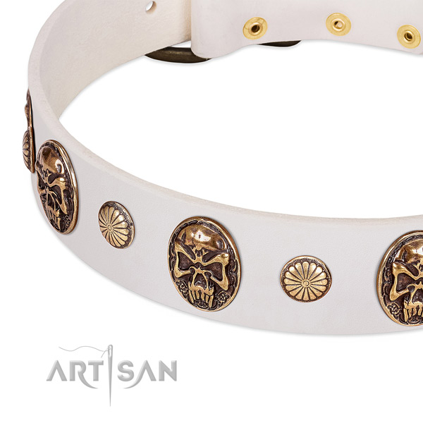 Corrosion resistant decorations on full grain leather dog collar for your doggie