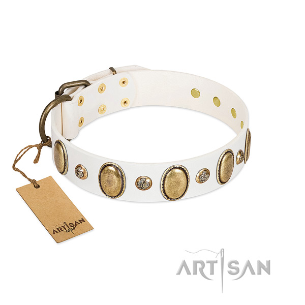Natural leather dog collar of soft material with awesome decorations