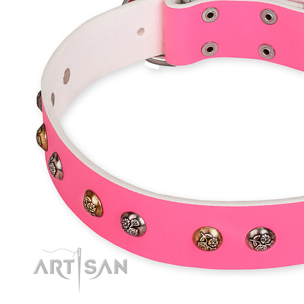 Full grain genuine leather dog collar with top notch durable embellishments