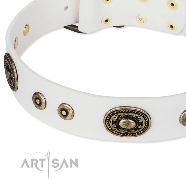 Full grain leather dog collar made of high quality material with decorations