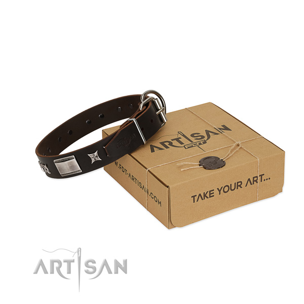 Convenient collar of genuine leather for your attractive doggie
