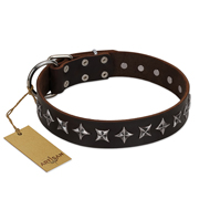 "Stars of Glory" FDT Artisan Brown Leather dog Collar for Comfortable Walking