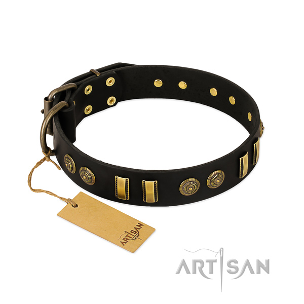Reliable traditional buckle on full grain genuine leather dog collar for your doggie