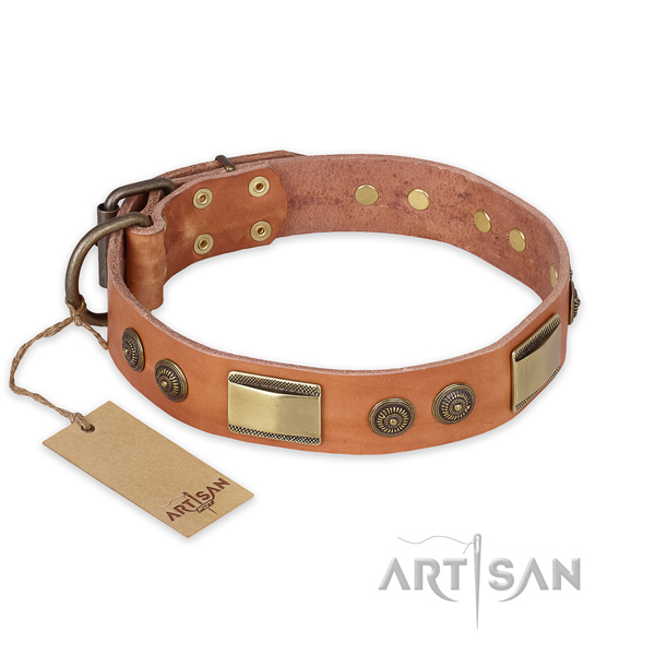 Fashionable full grain natural leather dog collar for basic training