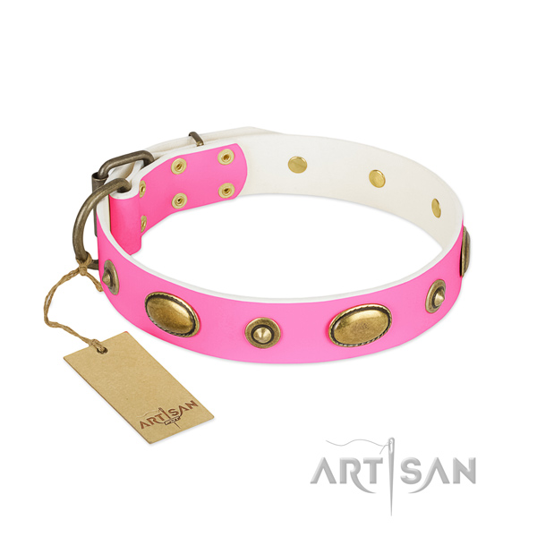 Exquisite leather collar for your doggie