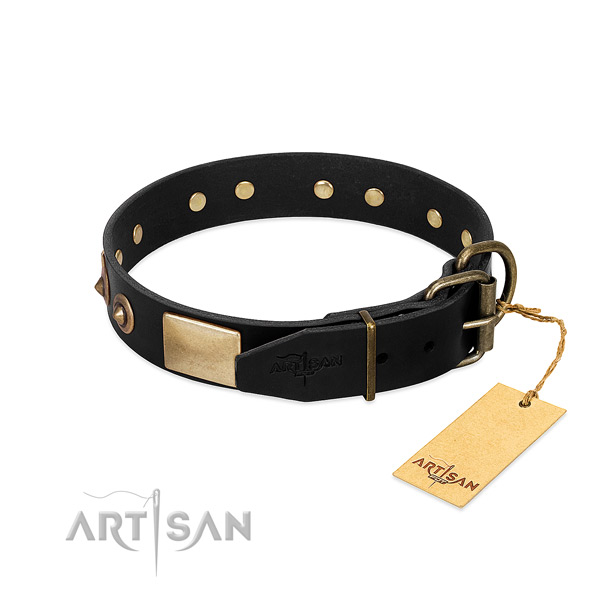 Durable buckle on handy use dog collar