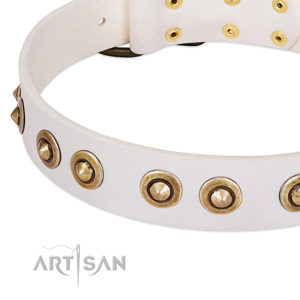 Strong adornments on full grain natural leather dog collar for your doggie