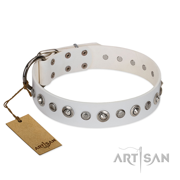 Finest quality full grain genuine leather dog collar with awesome studs