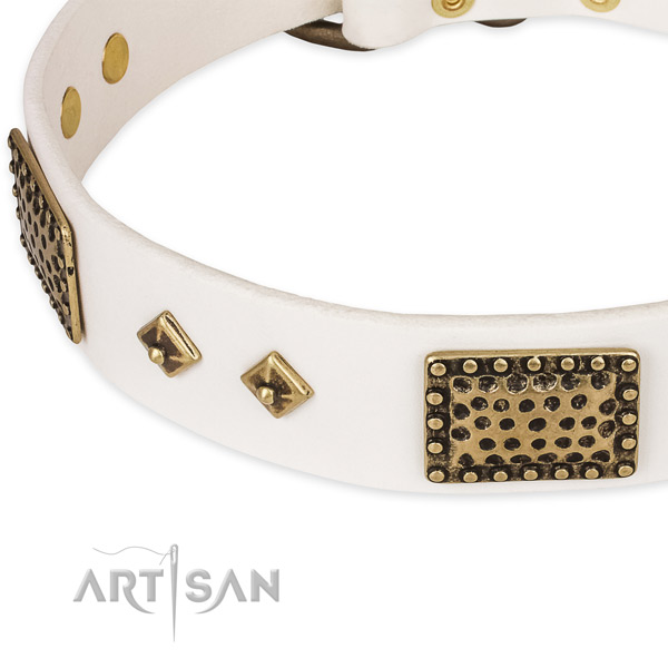 Durable fittings on full grain leather dog collar for your pet