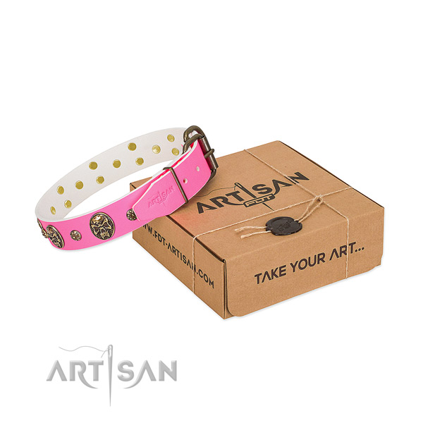 Rust resistant D-ring on natural leather dog collar for stylish walking