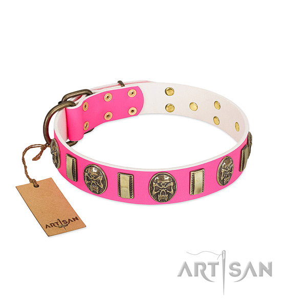 Reliable traditional buckle on leather dog collar for your pet