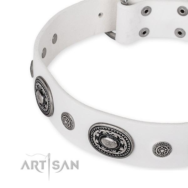 Strong full grain natural leather dog collar created for your lovely four-legged friend
