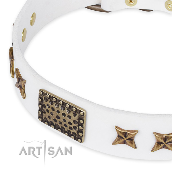 Genuine leather collar with durable buckle for your beautiful pet