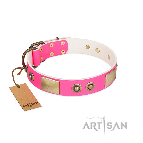 Reliable decorations on genuine leather dog collar for your dog