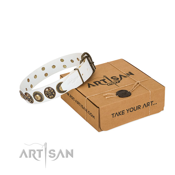 Rust resistant hardware on dog collar for everyday walking