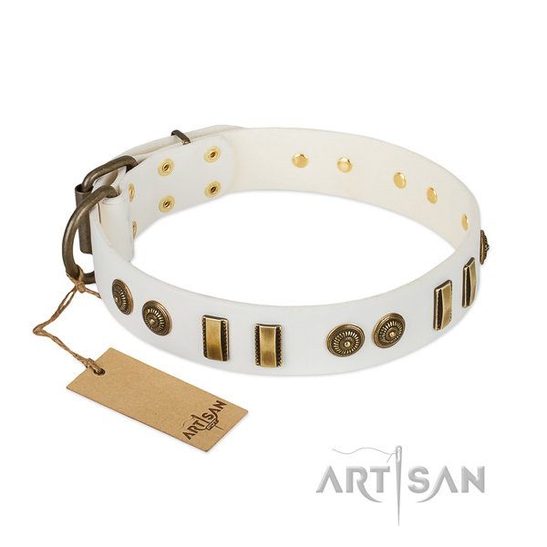 Strong adornments on full grain genuine leather dog collar for your doggie