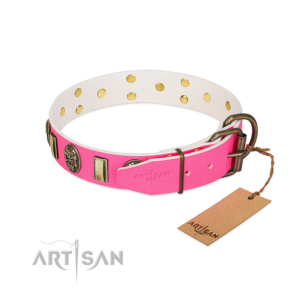 Durable embellishments on natural genuine leather dog collar for your doggie