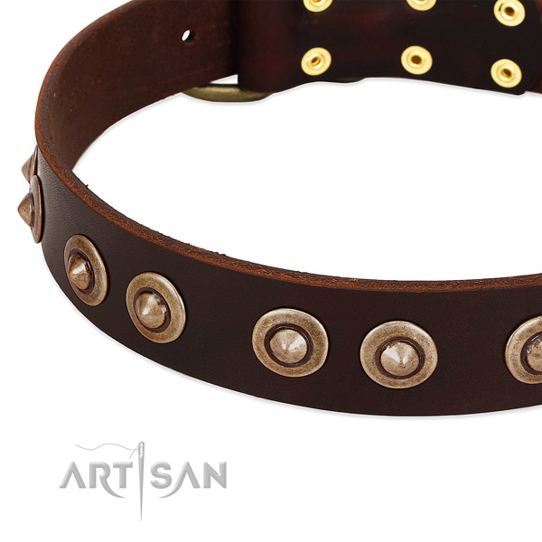 Rust resistant embellishments on full grain natural leather dog collar for your doggie