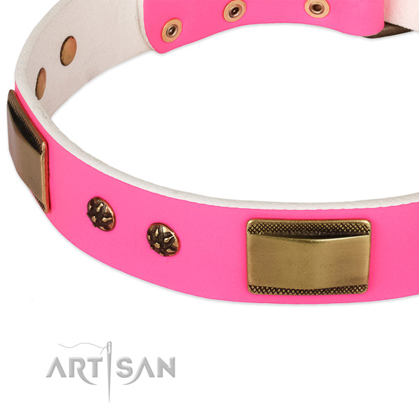 Reliable traditional buckle on full grain natural leather dog collar for your pet