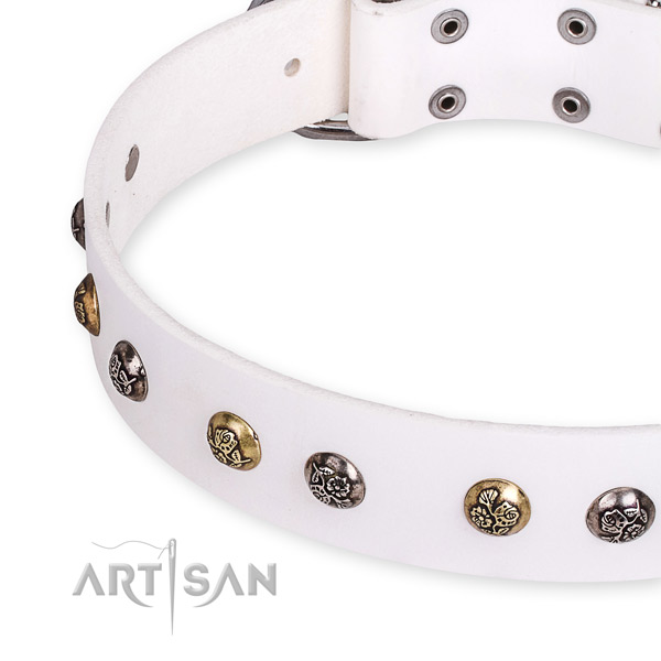 Full grain leather dog collar with impressive durable studs