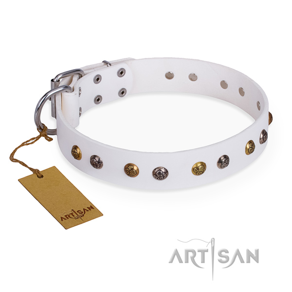 Everyday walking remarkable dog collar with rust-proof traditional buckle