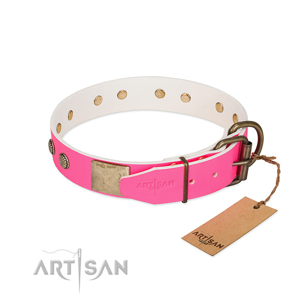 Durable D-ring on everyday walking dog collar