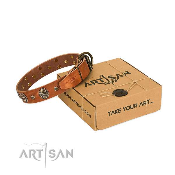 Corrosion proof studs on natural genuine leather dog collar for your doggie