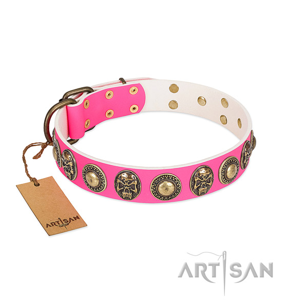 Easy adjustable full grain genuine leather dog collar for daily walking your doggie