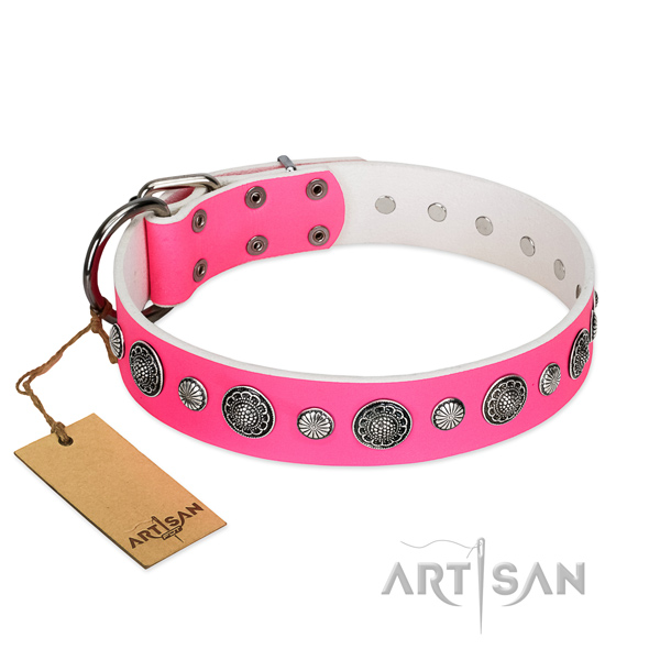 Quality genuine leather dog collar with rust resistant hardware