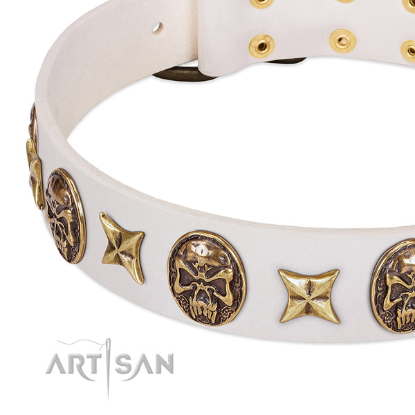 Studded dog collar made for your impressive doggie