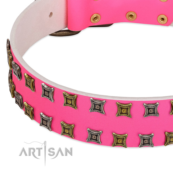 Genuine leather dog collar with significant adornments