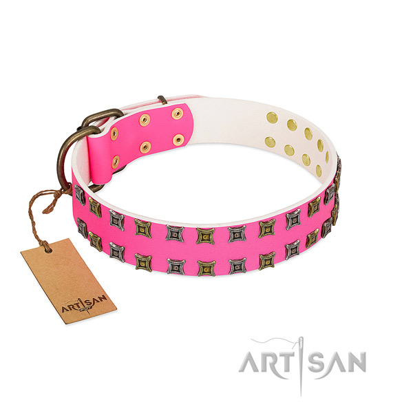 Genuine leather collar with top notch adornments for your pet