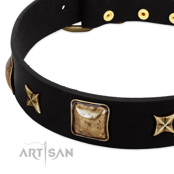 Full grain natural leather dog collar with inimitable embellishments