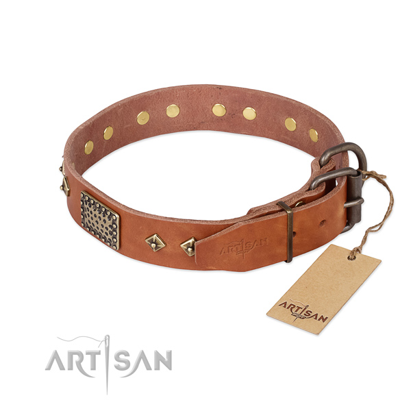 Full grain leather dog collar with corrosion proof traditional buckle and adornments