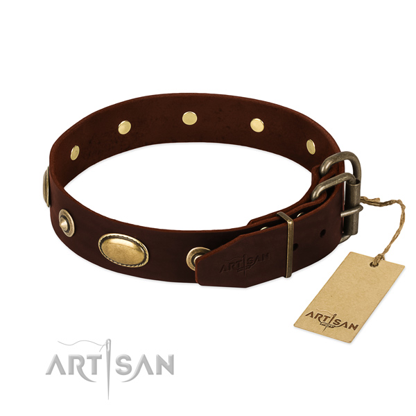 Rust-proof buckle on leather dog collar for your dog