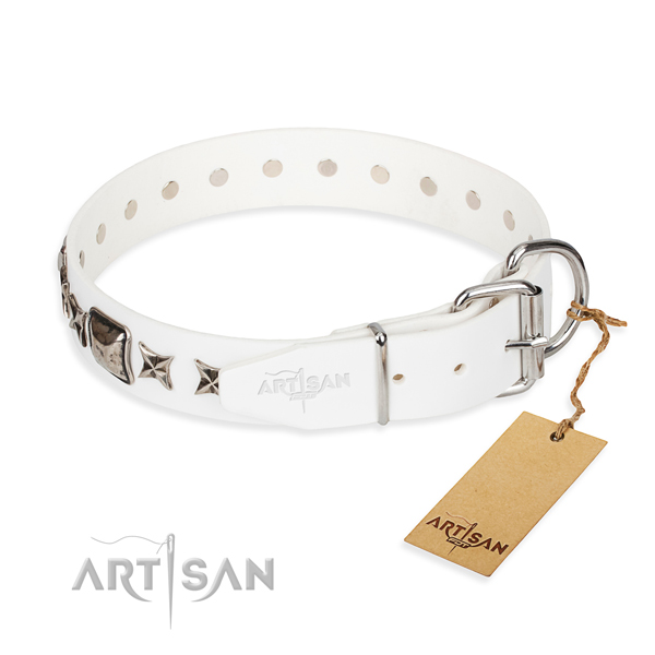 Quality studded dog collar of genuine leather