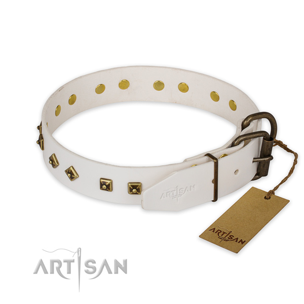 Rust resistant fittings on genuine leather collar for everyday walking your doggie