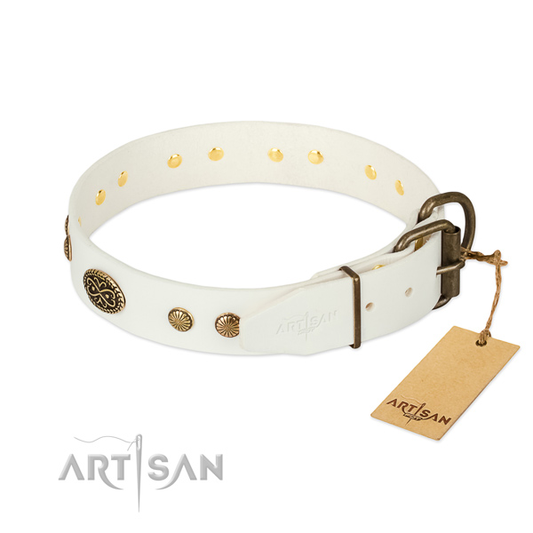 Corrosion proof traditional buckle on full grain leather dog collar for your pet