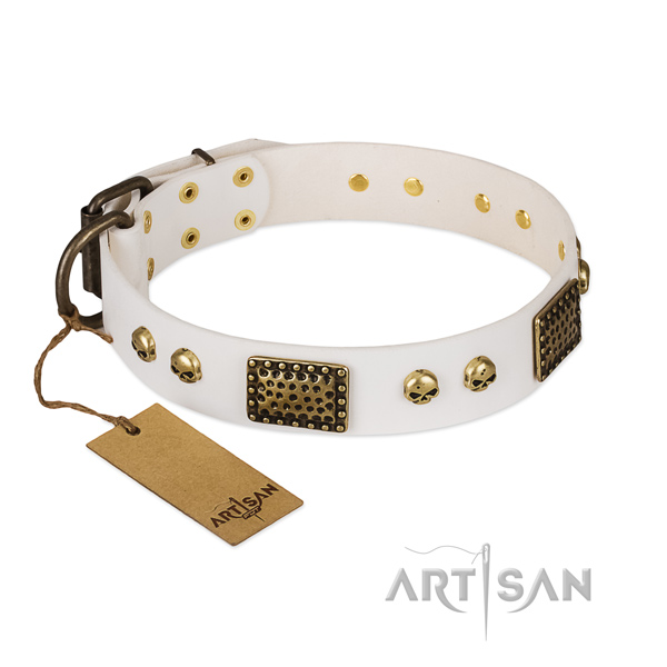 Rust resistant adornments on everyday walking dog collar