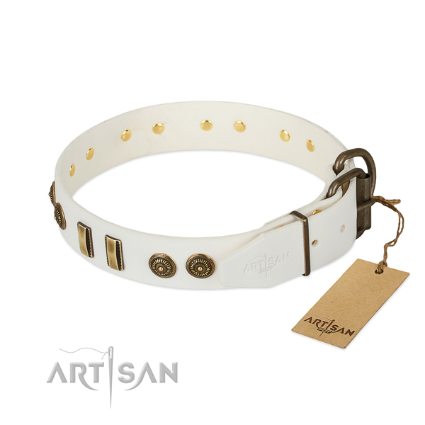 Corrosion resistant decorations on full grain natural leather dog collar for your pet