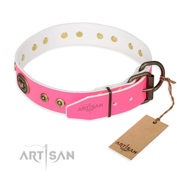 Full grain leather dog collar made of reliable material with rust resistant adornments