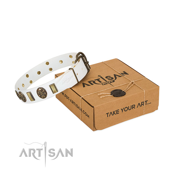 Durable D-ring on full grain leather dog collar for everyday use