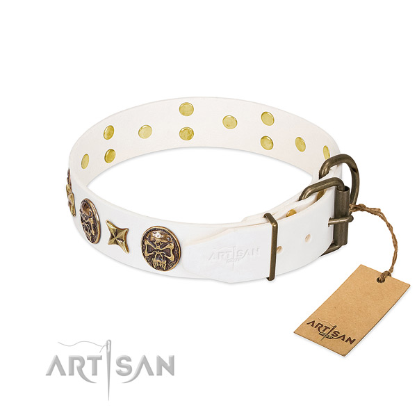 Reliable buckle on leather collar for daily walking your four-legged friend