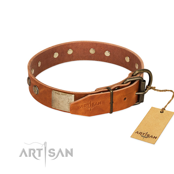 Corrosion proof fittings on comfy wearing dog collar