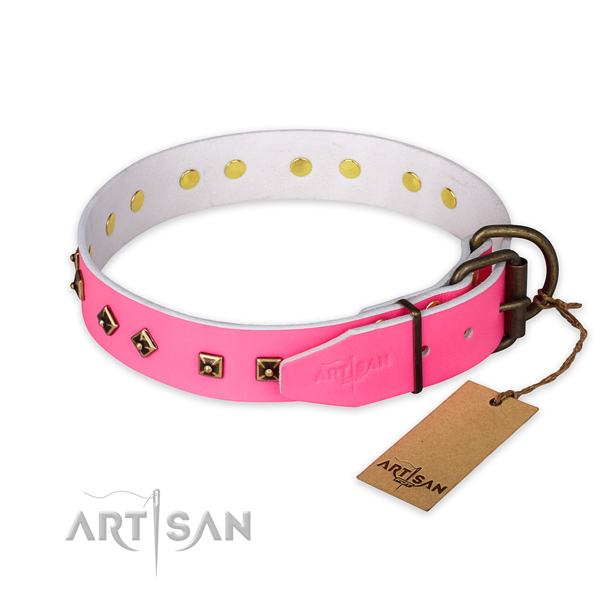 Rust-proof fittings on full grain leather collar for daily walking your canine