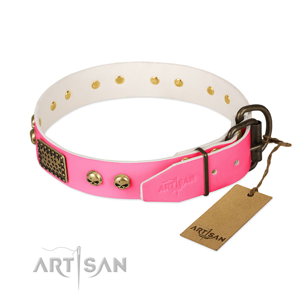 Strong decorations on comfortable wearing dog collar
