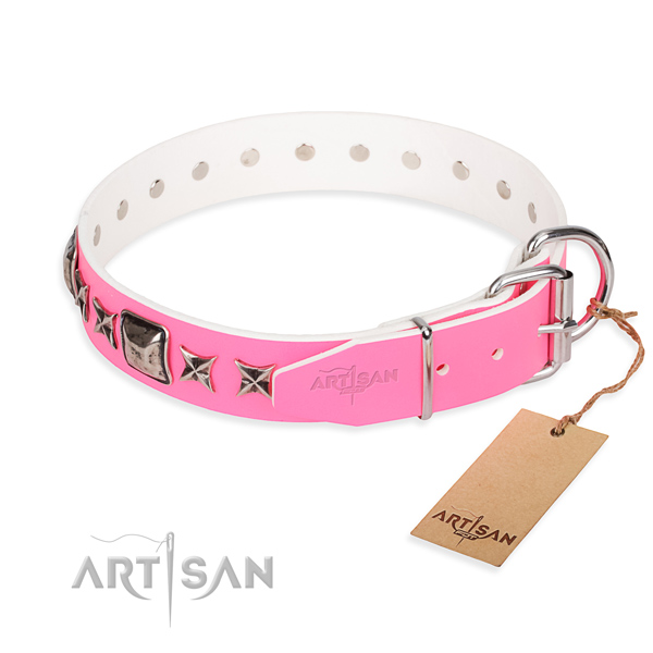 Finest quality embellished dog collar of full grain leather