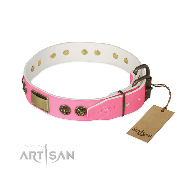 Strong D-ring on walking dog collar