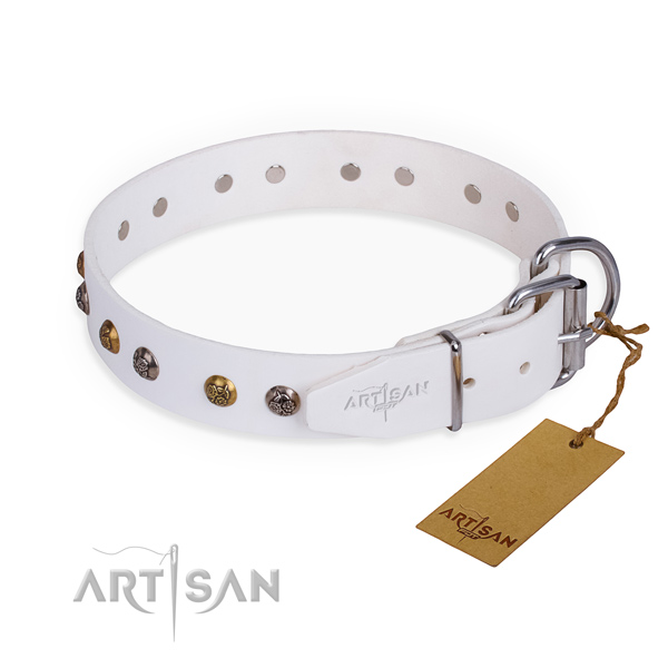 Full grain leather dog collar with unusual reliable decorations
